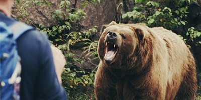 رویارویی در طبیعت با خرس 